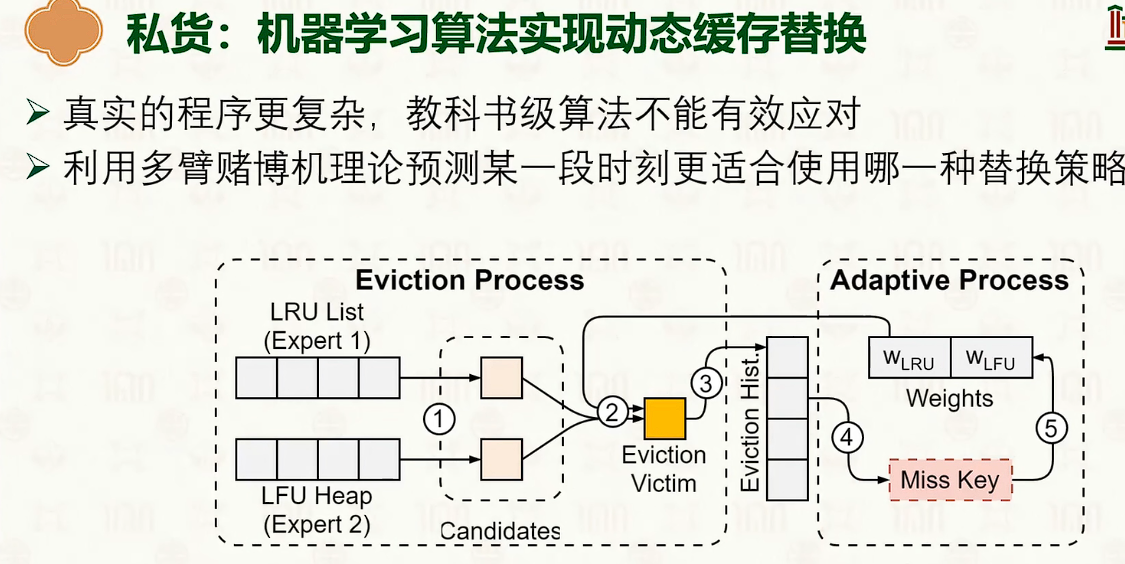 image-20250316205500961