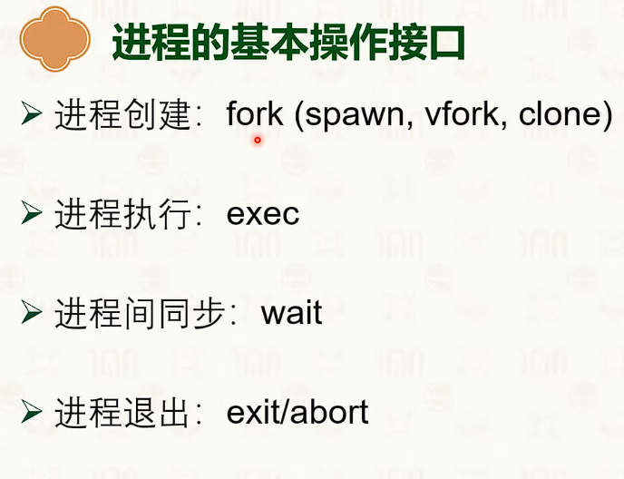 image-20250316213903337