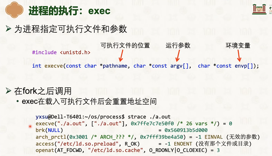 image-20250316215705674